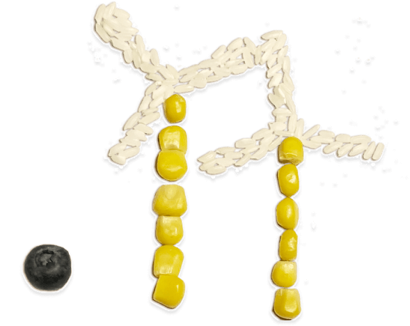 eko-ilustracija-copy-2